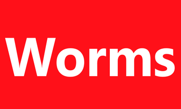 Sicherheitsdienst Worms - objektschutz - Brandwache